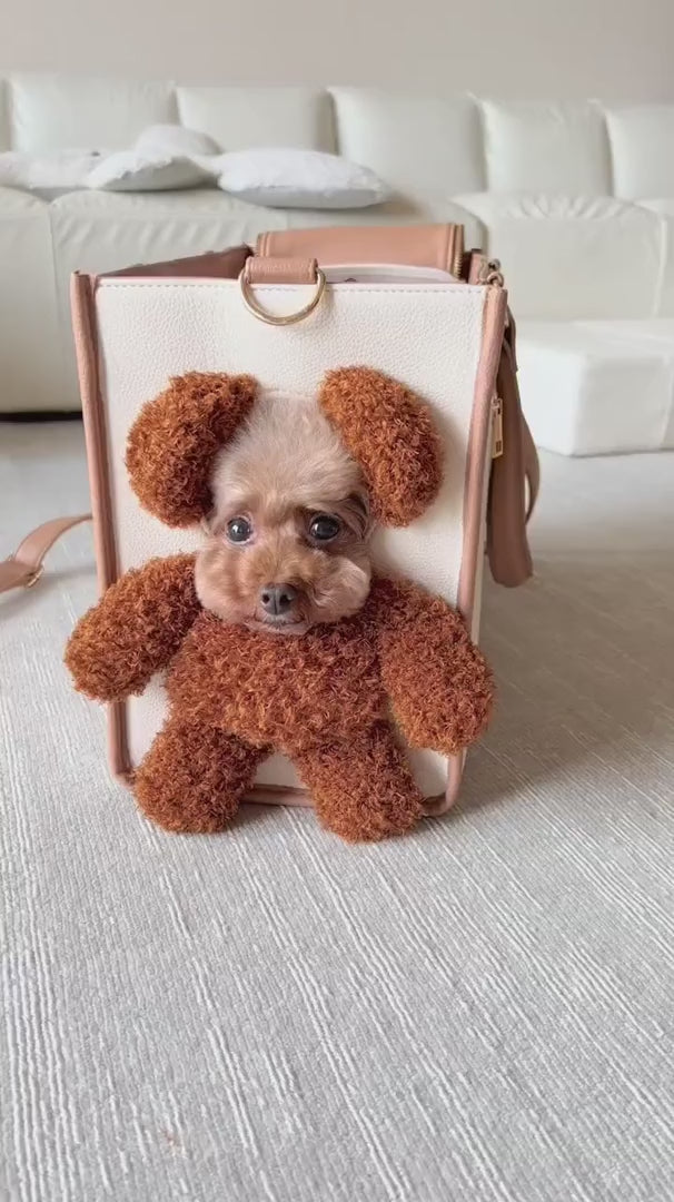 TeddyGo pet carrier in use